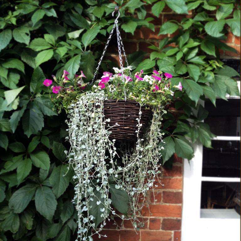 Bed and Breakfast The Hundred Of Ashendon Waddesdon Exterior foto